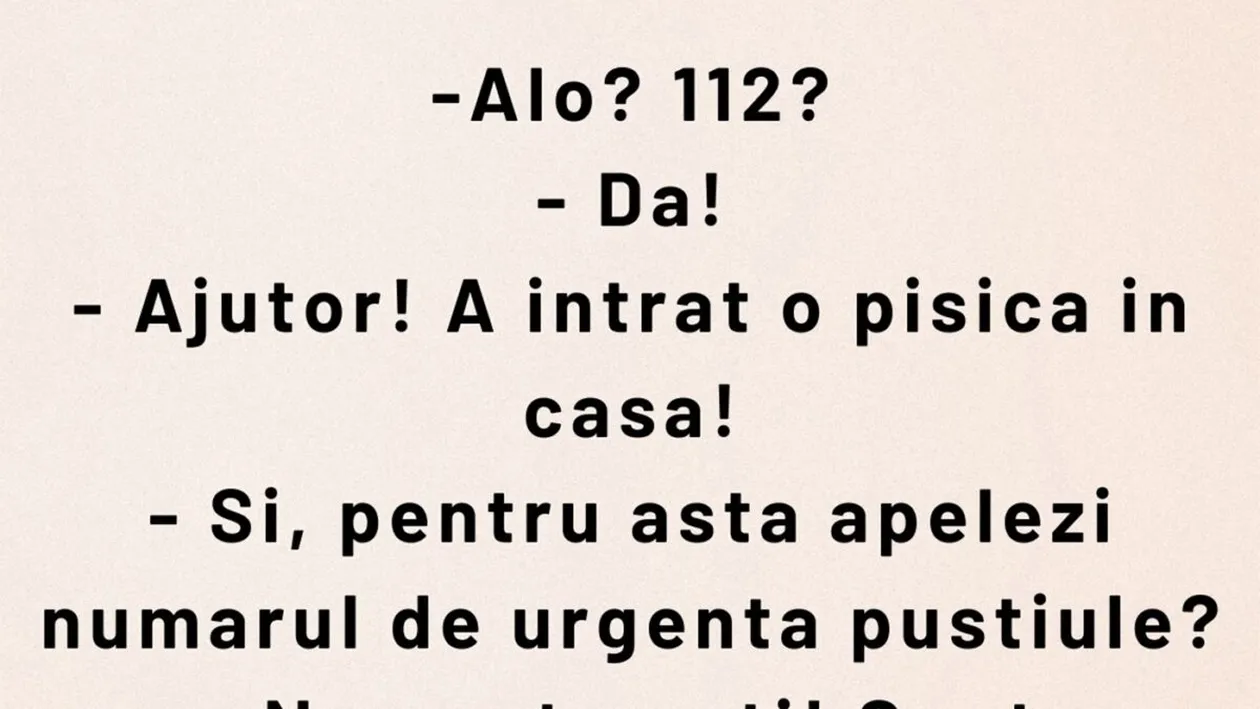 BANCUL ZILEI | Ajutor! A intrat pisica în casă