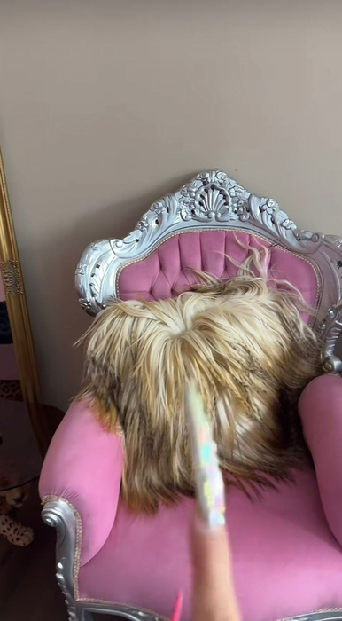 Cum arată casa lui Iorga? Sursă foto: TikTok