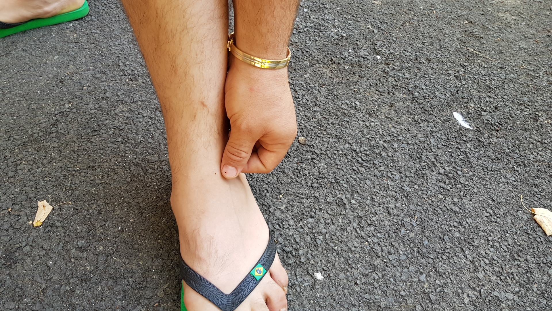 Invazie de purici la Arad, oamenii sunt atacaţi pe stradă de insecte. "Mai rău ca în Evul Mediu"