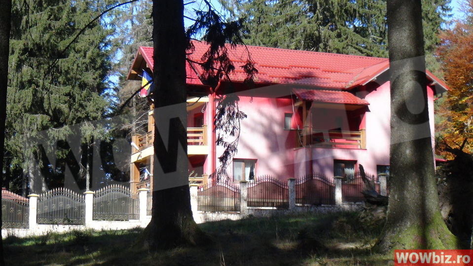Cum arată vila secretă a Vioricăi Dăncilă? E roz și are stegulețe