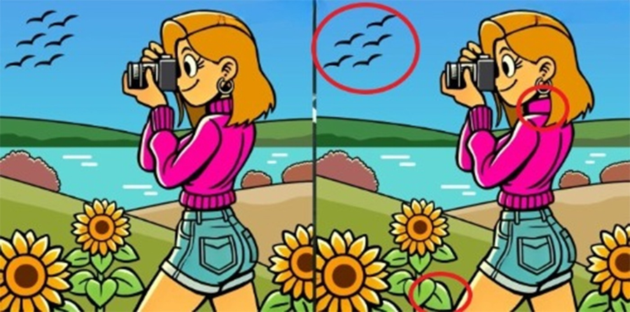 Test IQ