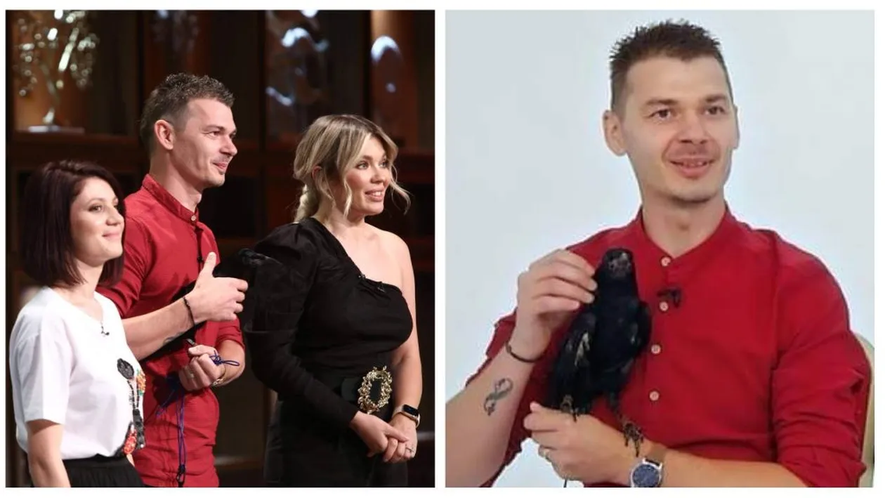 Nu e o glumă! În platoul emisiunii ”Chefi la cuțite” și-a făcut apariția o cioară: ”Îl cheamă Cronco”