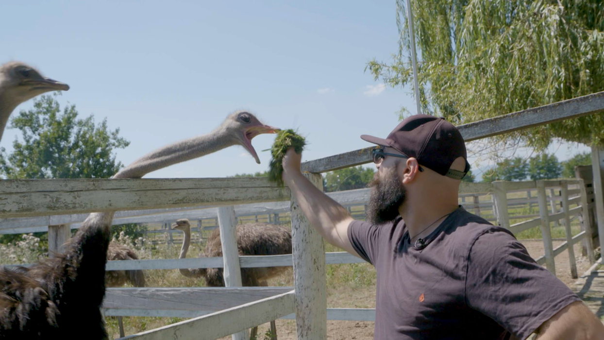 Radu Stan este specialist în IT, dar conduce o fermă agro-turistică în Târgul Neamț