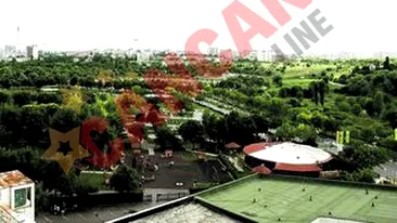 Jocuri Olimpice in centrul Capitalei