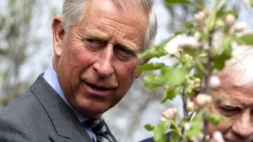 Printul Charles si-a amanat vizita in Romania, invocand motive de sanatate