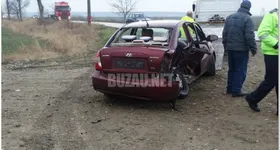 Galerie foto - poza 1