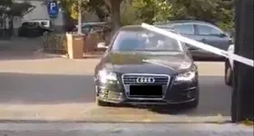 Galerie foto - poza 3