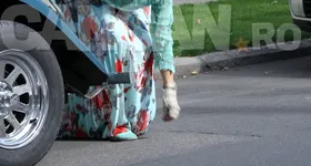 Galerie foto - poza 4