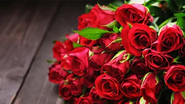 Mesaje, felicitări și SMS-uri de 8 Martie. Colecția 2019