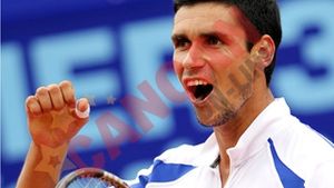 Hanescu a scuipat spectatori la Wimbledon!