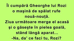 BANC | Cum folosește Rozi a lui Gheorghe mașina de spălat