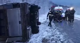 Galerie foto - poza 4