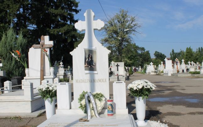 Jerba adusă de Petru Mircea (Sursă foto: Diana Frîncu)