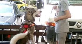 Galerie foto - poza 2