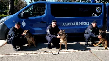 Trei câini jandarmi au ieșit la pensie după 13 ani de activitate: „Vă mulțumim pentru tot ce ați făcut pentru noi...pentru oameni!”