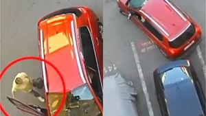 Accident tragic în Târgu Jiu! Secretara președintelui CJ Gorj și-a pierdut viața după ce a fost lovită de mașina unei colege