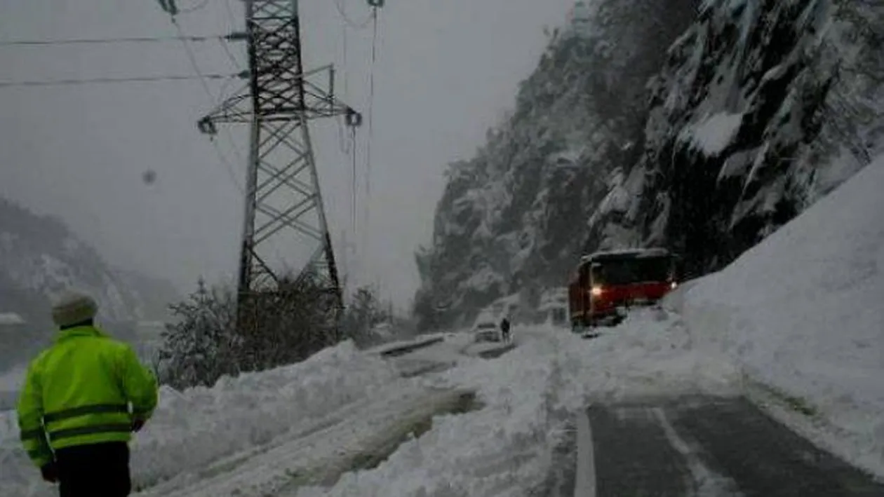 Cod PORTOCALIU şi GALBEN de NINSORI în ROMÂNIA!