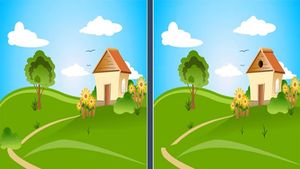 TEST IQ exclusiv pentru genii | Găsește toate cele 5 diferențe între aceste 2 imagini, în maximum 15 secunde!