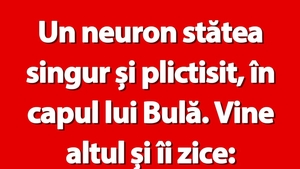 BANC | Neuronul lui Bulă