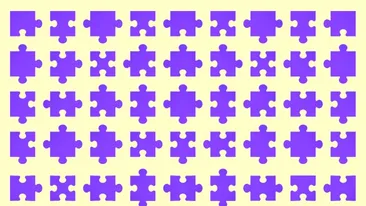 Test de inteligență | Care bucată de puzzle nu se potrivește? Este una singură