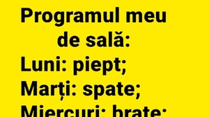 BANCUL ZILEI | Programul meu de sală