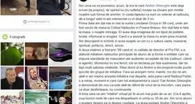 Galerie foto - poza 1