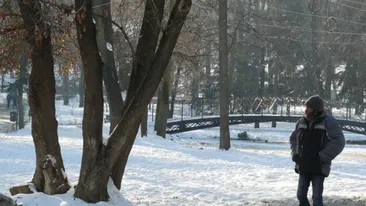 PROGNOZA METEO: Vremea se incalzeste, ajungand la temperaturi mai mari decat ar fi normal in aceasta perioada