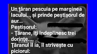 Bancul de weekend | Un țăran prinde peștișorul de aur