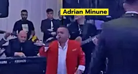 Galerie foto - poza 2