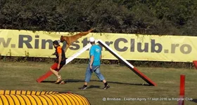 Galerie foto - poza 4