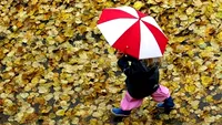 Vesti bune de la meteorologi! Cum va fi vremea in tara si in Romania astazi si maine