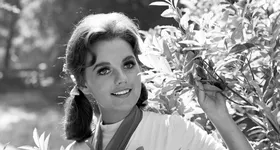 Galerie foto - poza 2