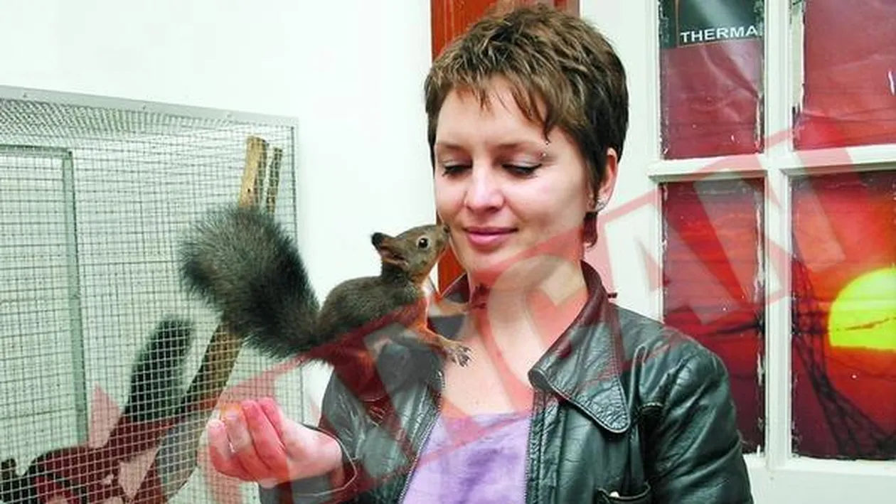 Fabrica de veverite!