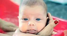 Galerie foto - poza 4