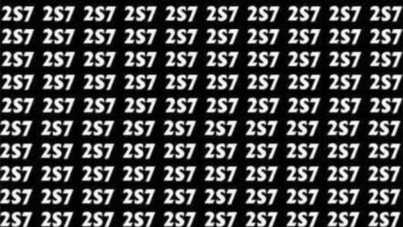 Test de perspicacitate | Găsiți numărul 257 în cel mult 5 secunde!