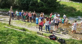 Galerie foto - poza 4