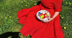 Galerie foto - poza 1