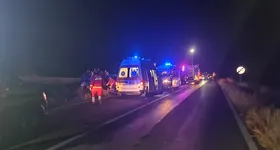 Galerie foto - poza 3