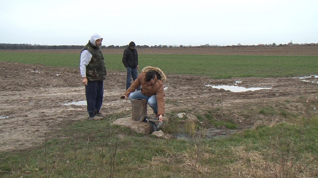 Bogăţia din pământ se scurge pe câmp