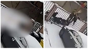 VIDEO șocant. Femeie din Suceava, atacată în plină stradă de patru câini Rottweiler. A ajuns la spital în stare gravă