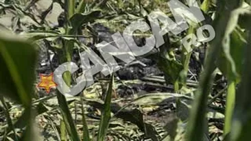 Fragmentele din epava elicopterului cazut, stranse din lanul de porumb, dupa o noapte de cautari