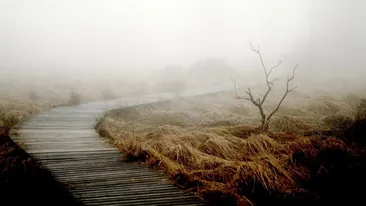 Prognoza meteo. Cod galben de ceață în mai multe județe din țară