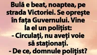 BANC | Bulă e beat, noaptea, pe strada Victoriei. Se opreşte în faţa Guvernului