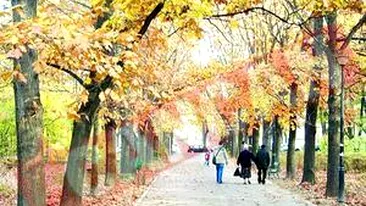 In weekend, vine frigul