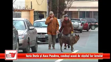 Iurie Darie si Anca Pandrea, condusi acasa de catelul lor invalid!