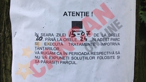 Tantarul-tigru ataca Romania
