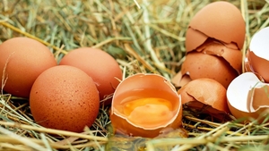 Atenție! Oua contaminate cu Salmonella în mai multe județe din România