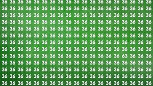 Iluzie optică virală | Depistați numărul 63 ascuns printre 36! Doar 1 dintre 100 de oameni poate