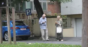 Galerie foto - poza 1