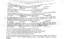 Galerie foto - poza 3